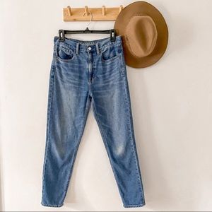 American Eagle AEO High Waist Mom Jean